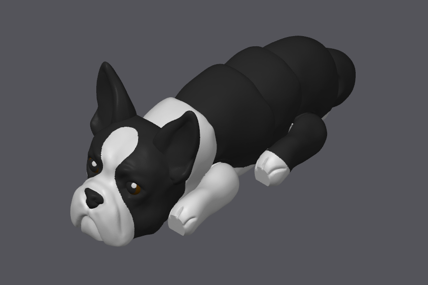 Boston Terrier