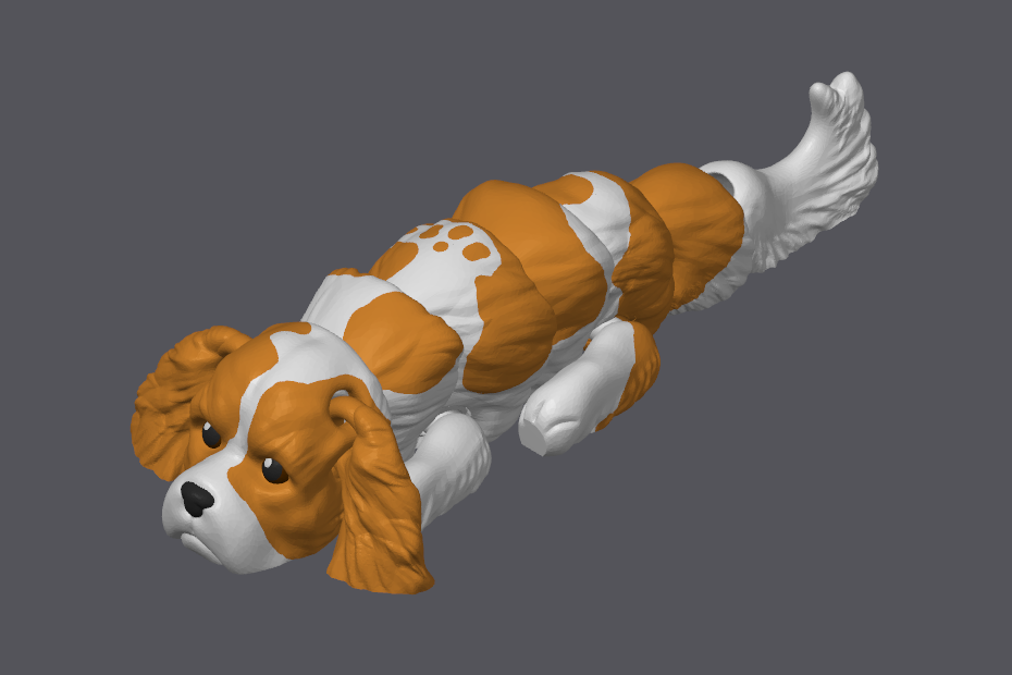 Cavalier King Charles Spaniel