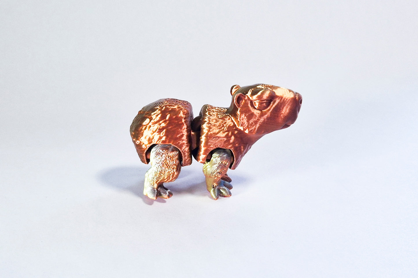 Fidget Capybara