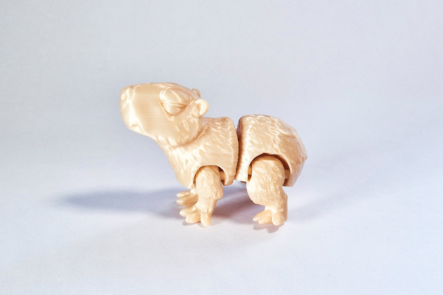 Fidget Capybara