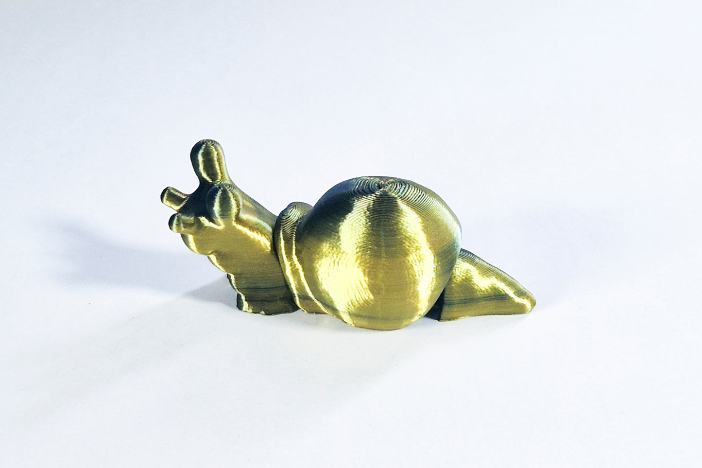 Fidget Snail
