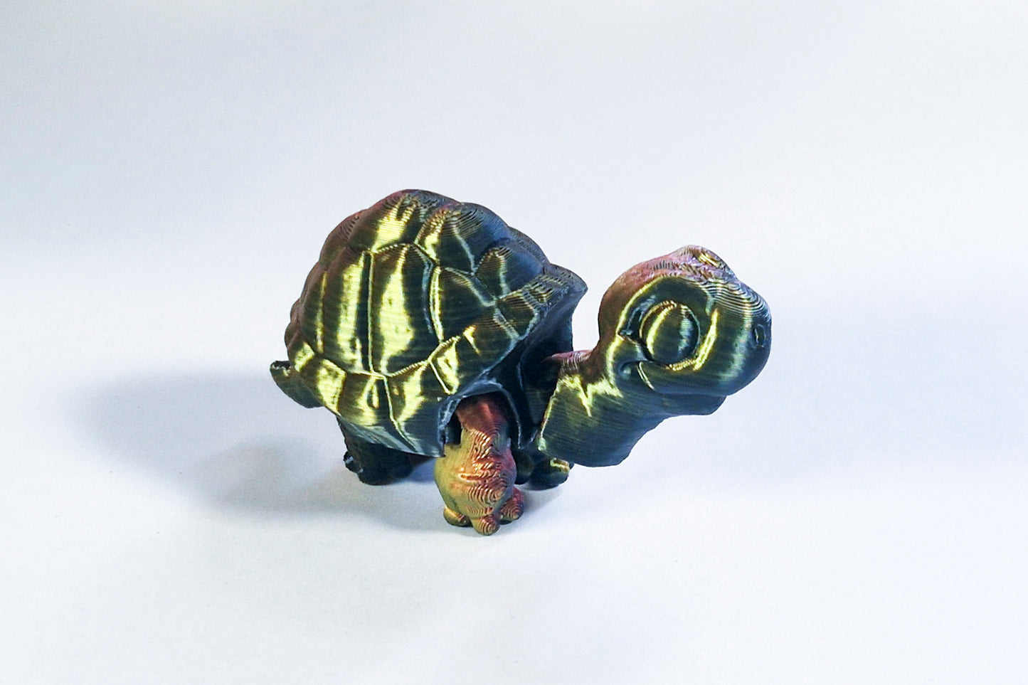 Fidget Tortoise