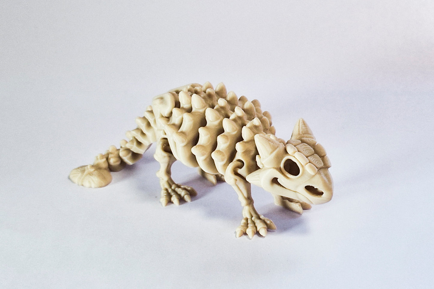 Flexi Ankylosaurus Skeleton