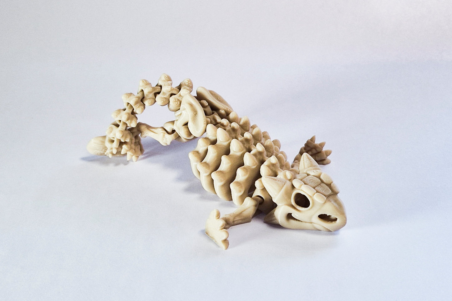 Flexi Ankylosaurus Skeleton