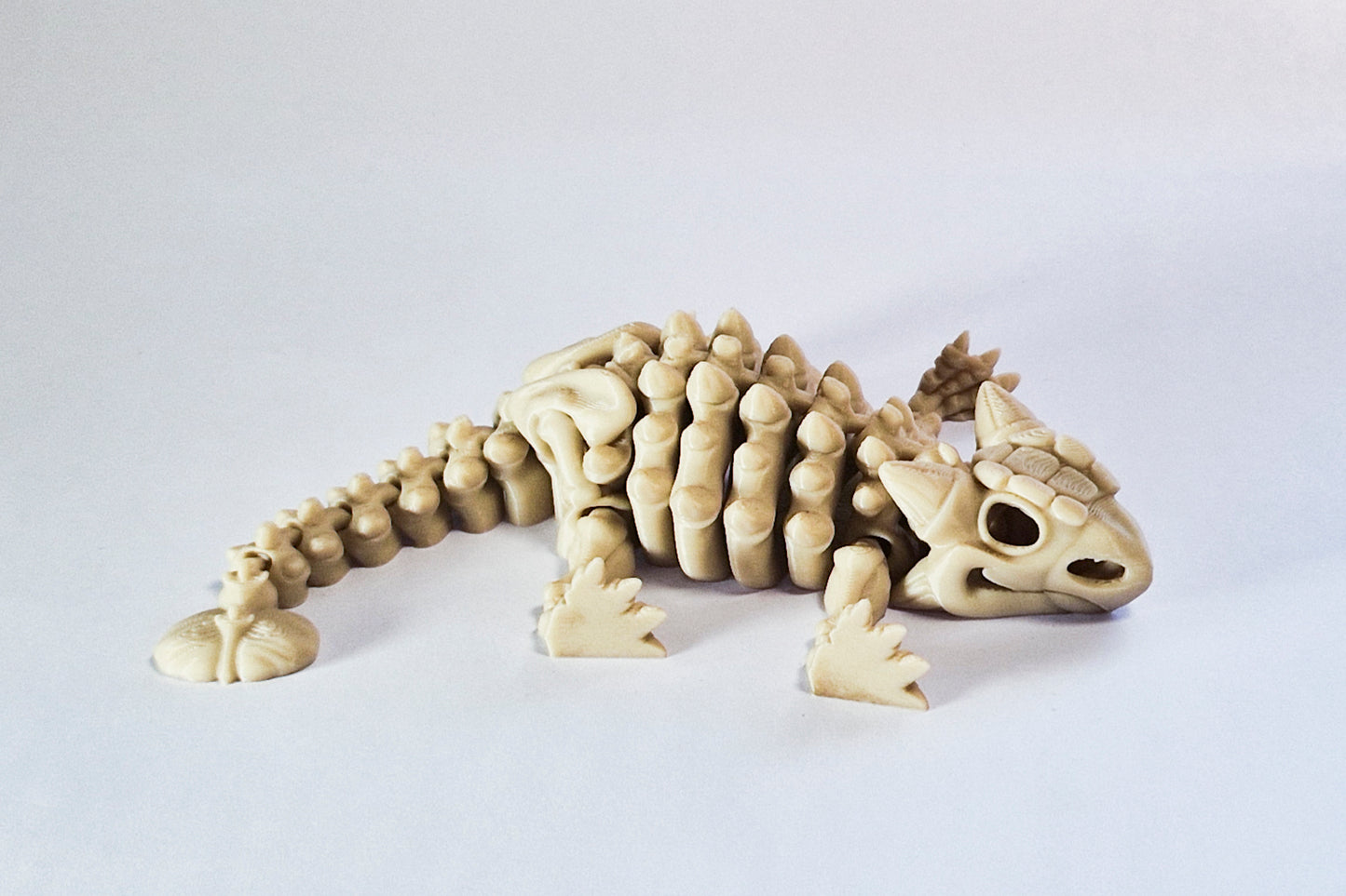 Flexi Ankylosaurus Skeleton