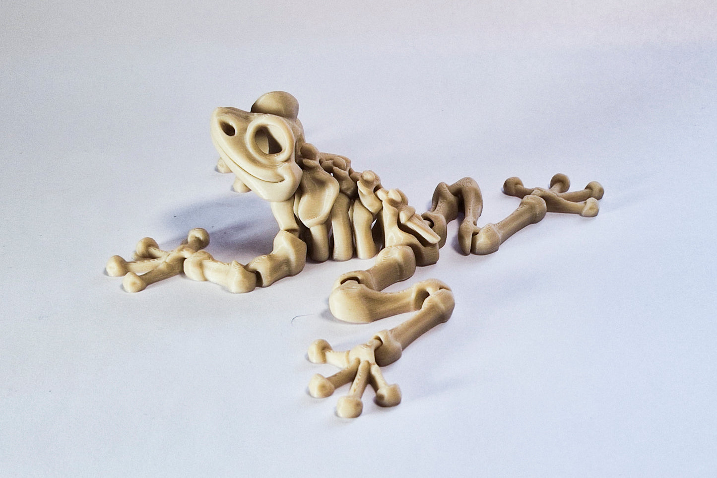 Flexi Frog Skeleton