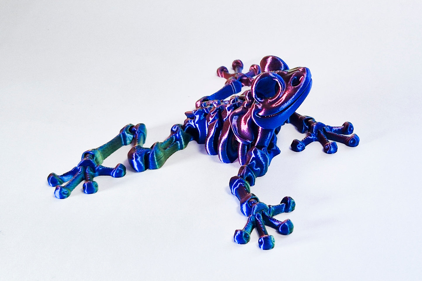 Flexi Frog Skeleton