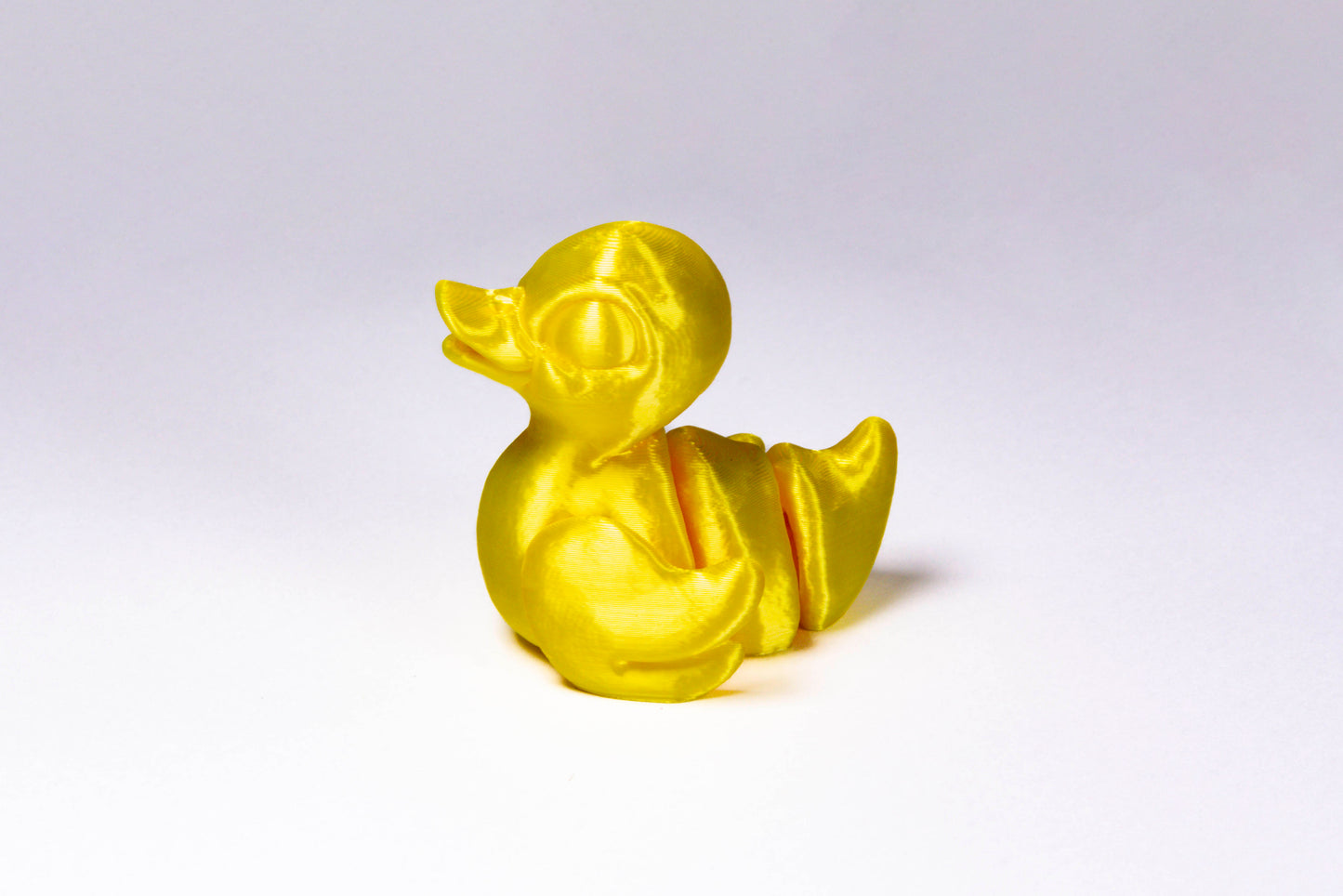 Fidget Duck
