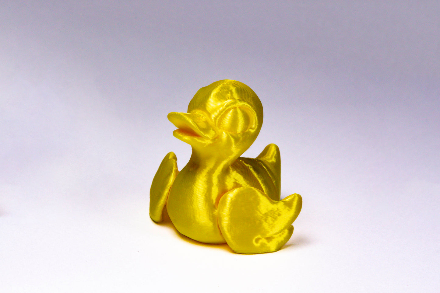 Fidget Duck