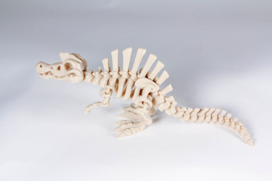 Flexi Spinosaurus Skeleton