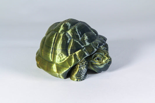 Flexi Tortoise