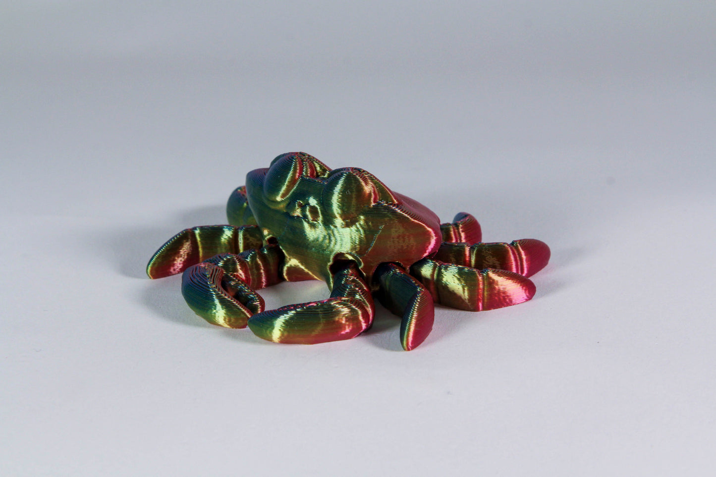 Fidget Crab