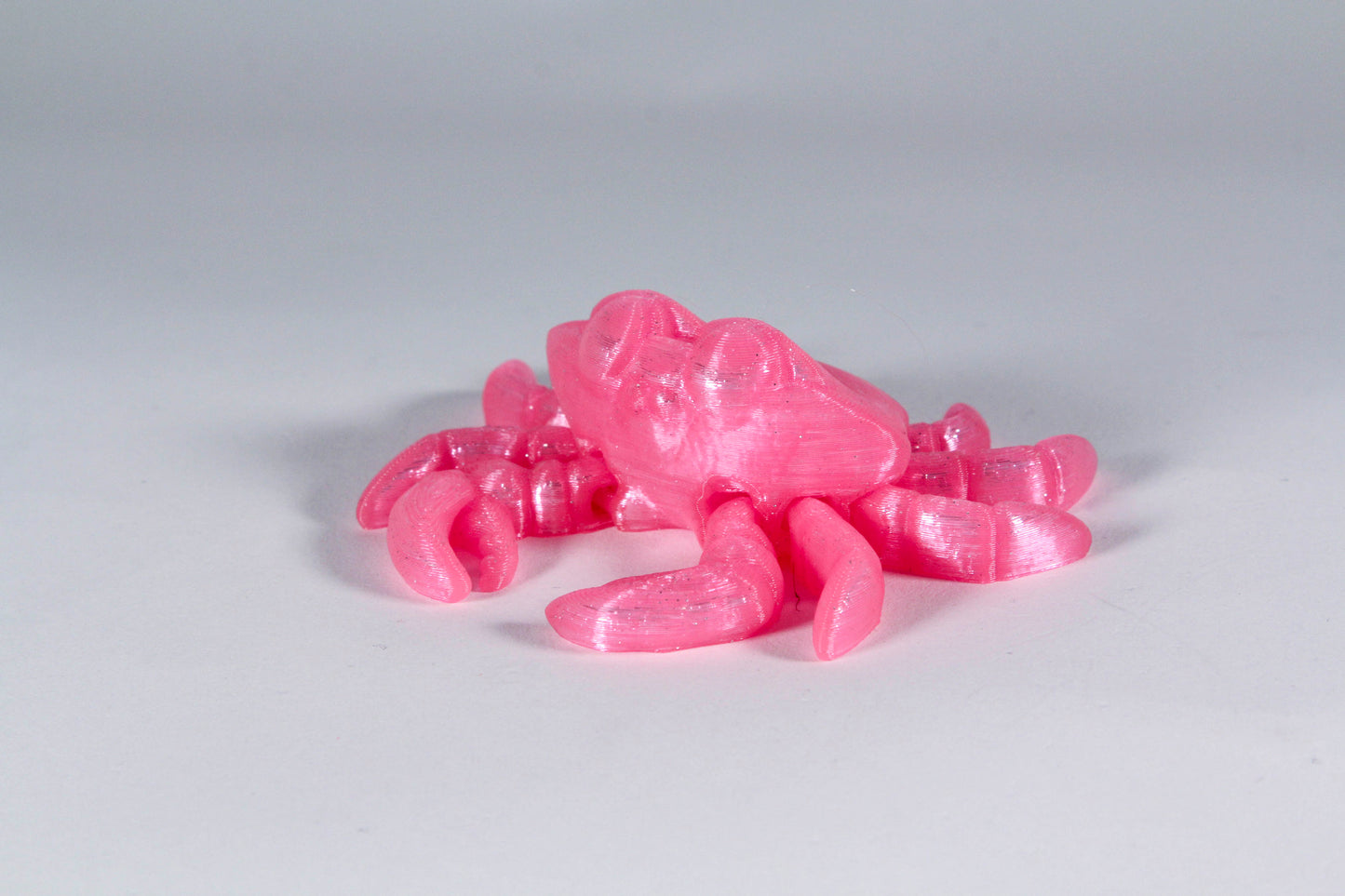 Fidget Crab