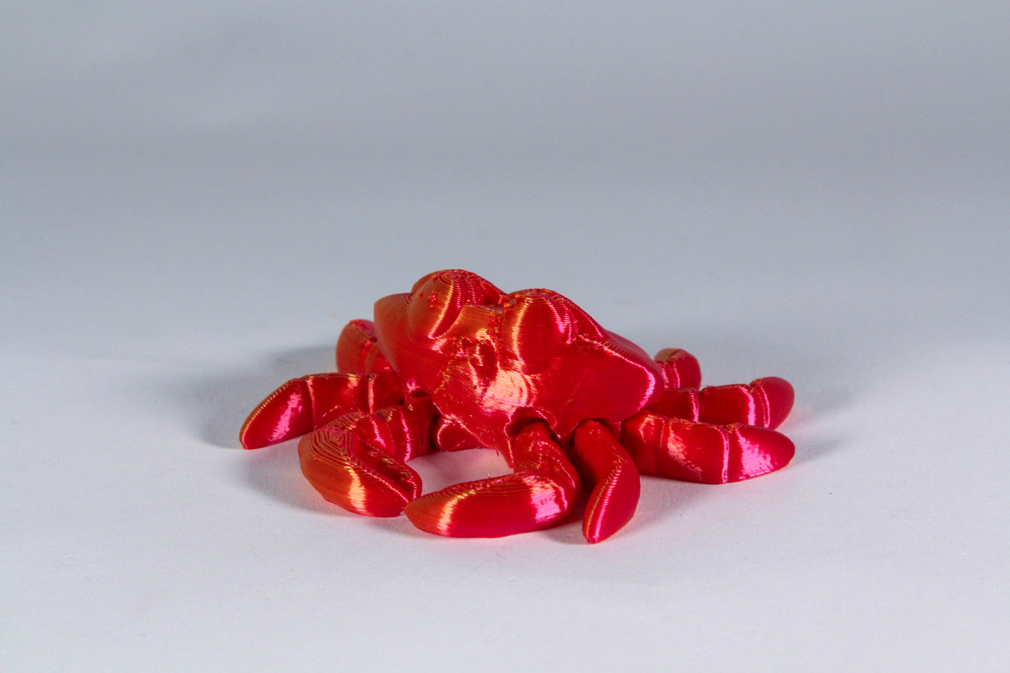 Fidget Crab
