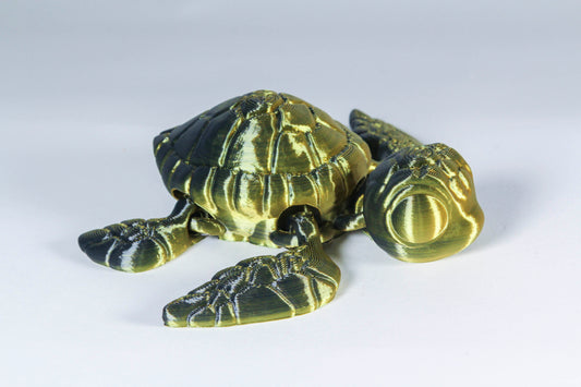 Fidget Sea Turtle