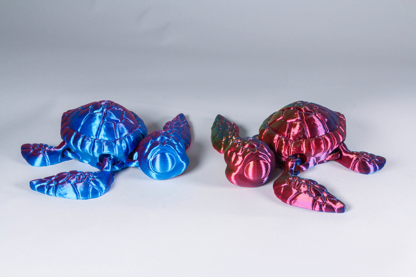 Fidget Sea Turtle