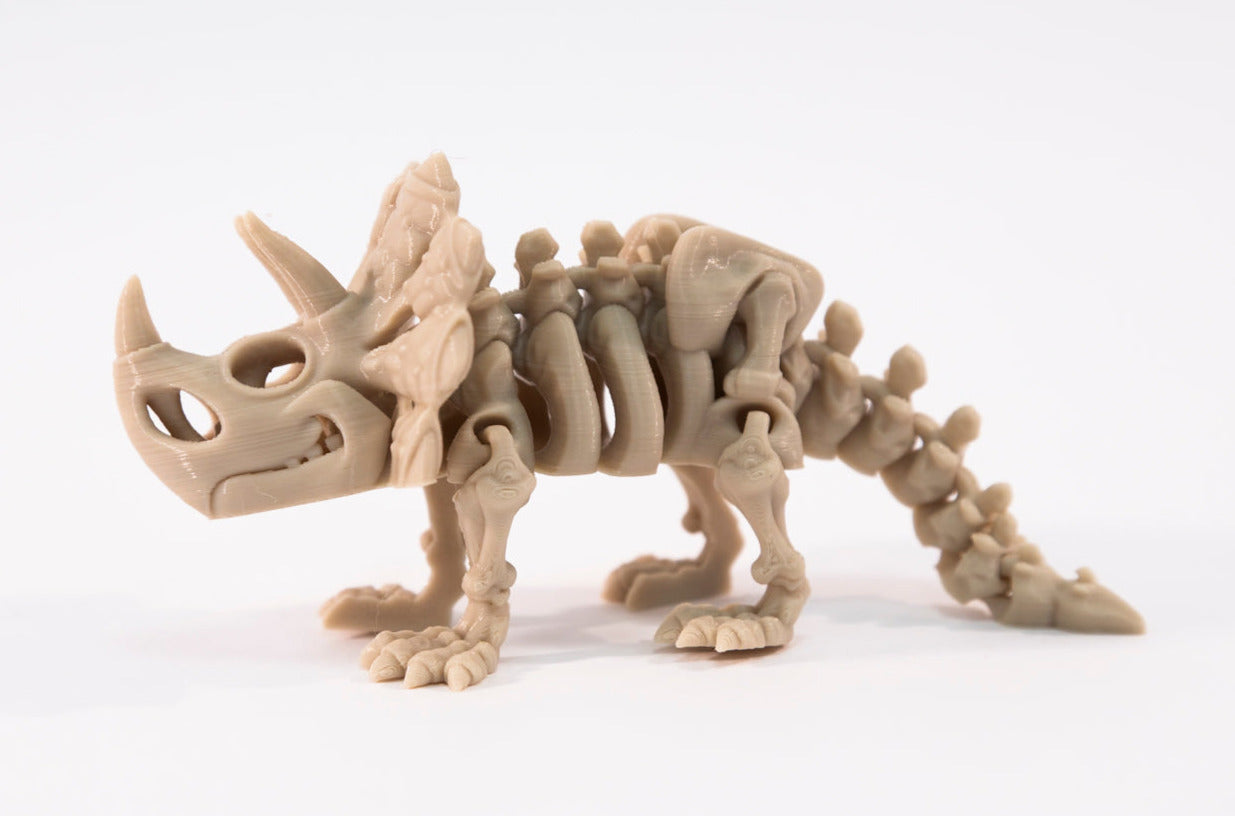 Big Beast Triceratops Skeleton