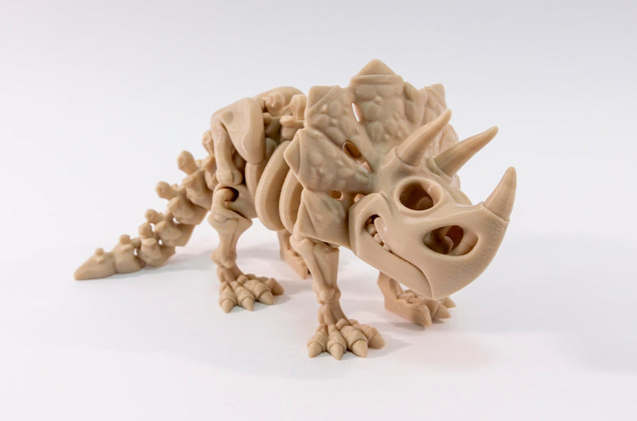 Big Beast Triceratops Skeleton