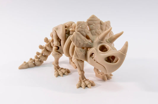 Big Beast Triceratops Skeleton