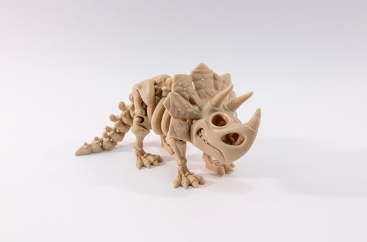 Flexi Triceratops Skeleton
