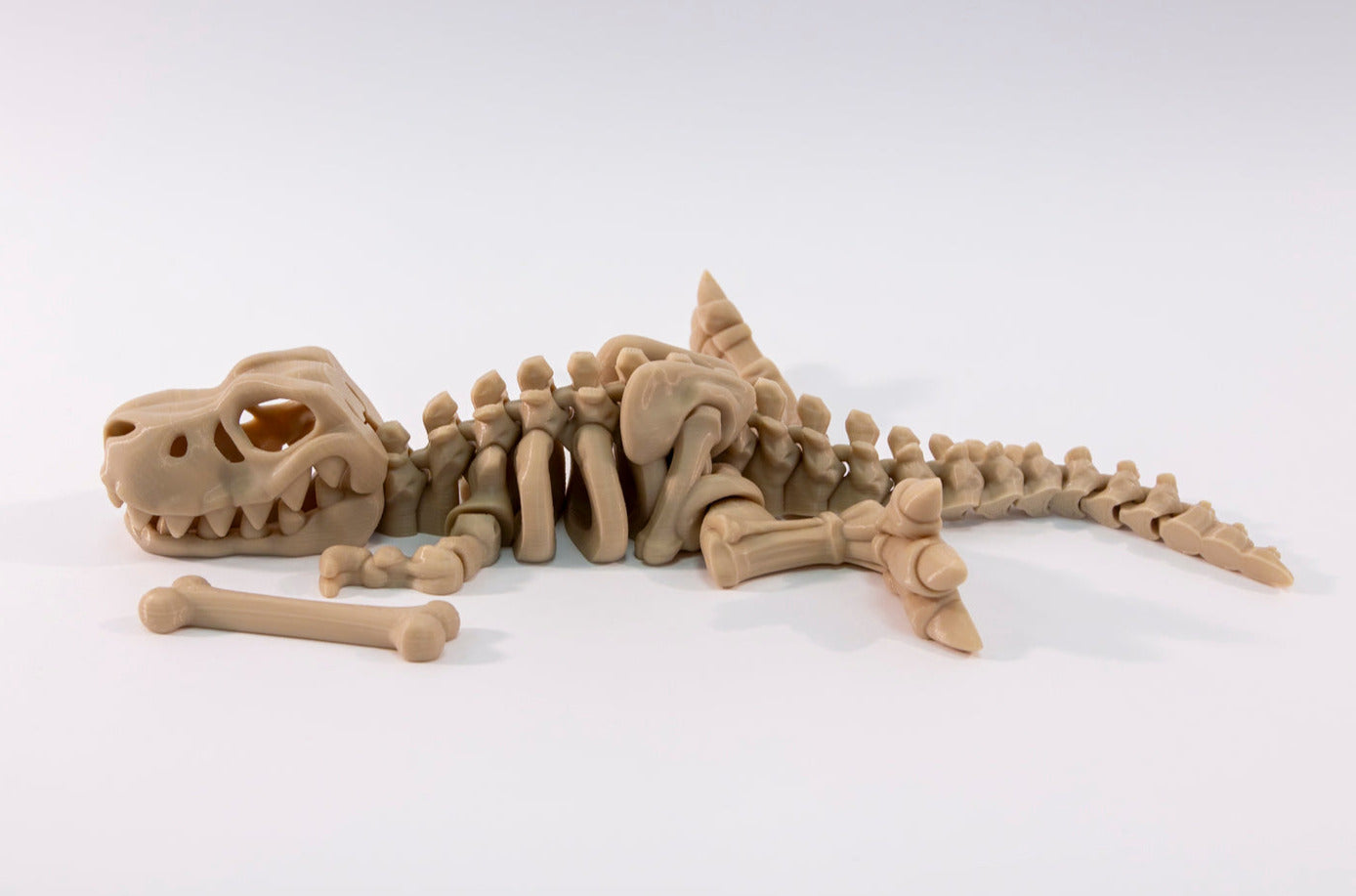 Big Beast T-Rex Skeleton