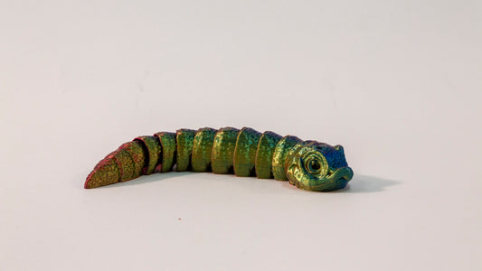 Fidget Hognose Snake