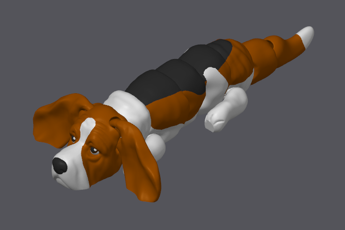 Basset Hound