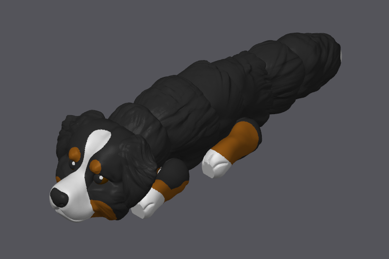 Bernese Mountain Dog