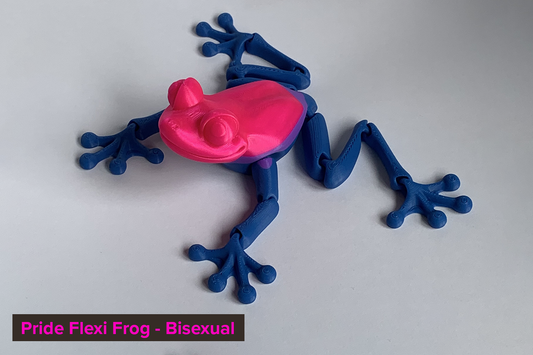 Pride Flexi Frog