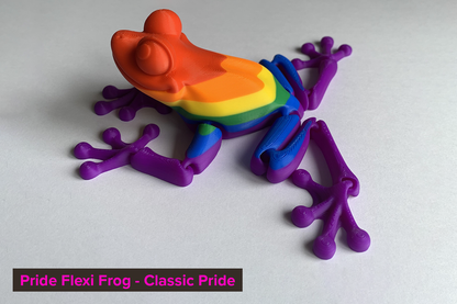 Pride Flexi Frog