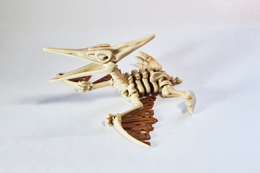 Flexi Pteranodon Skeleton