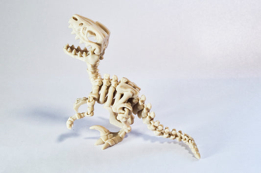 Flexi Raptor Skeleton