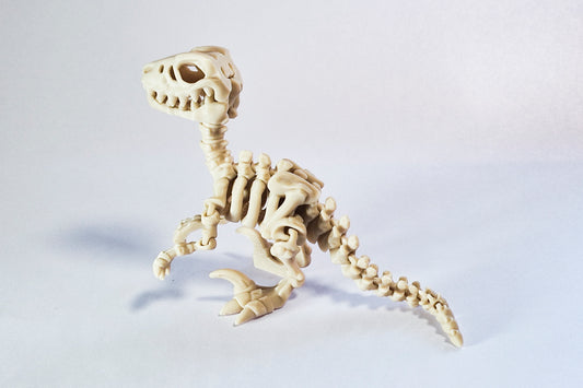 Flexi Raptor Skeleton