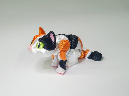 Calico Cat