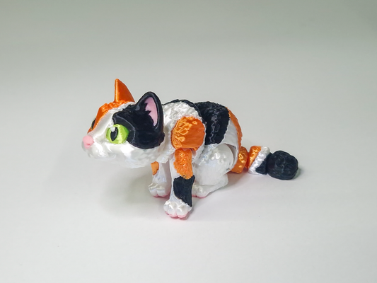 Calico Cat