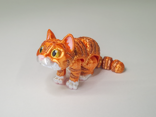 Orange Tabby Cat