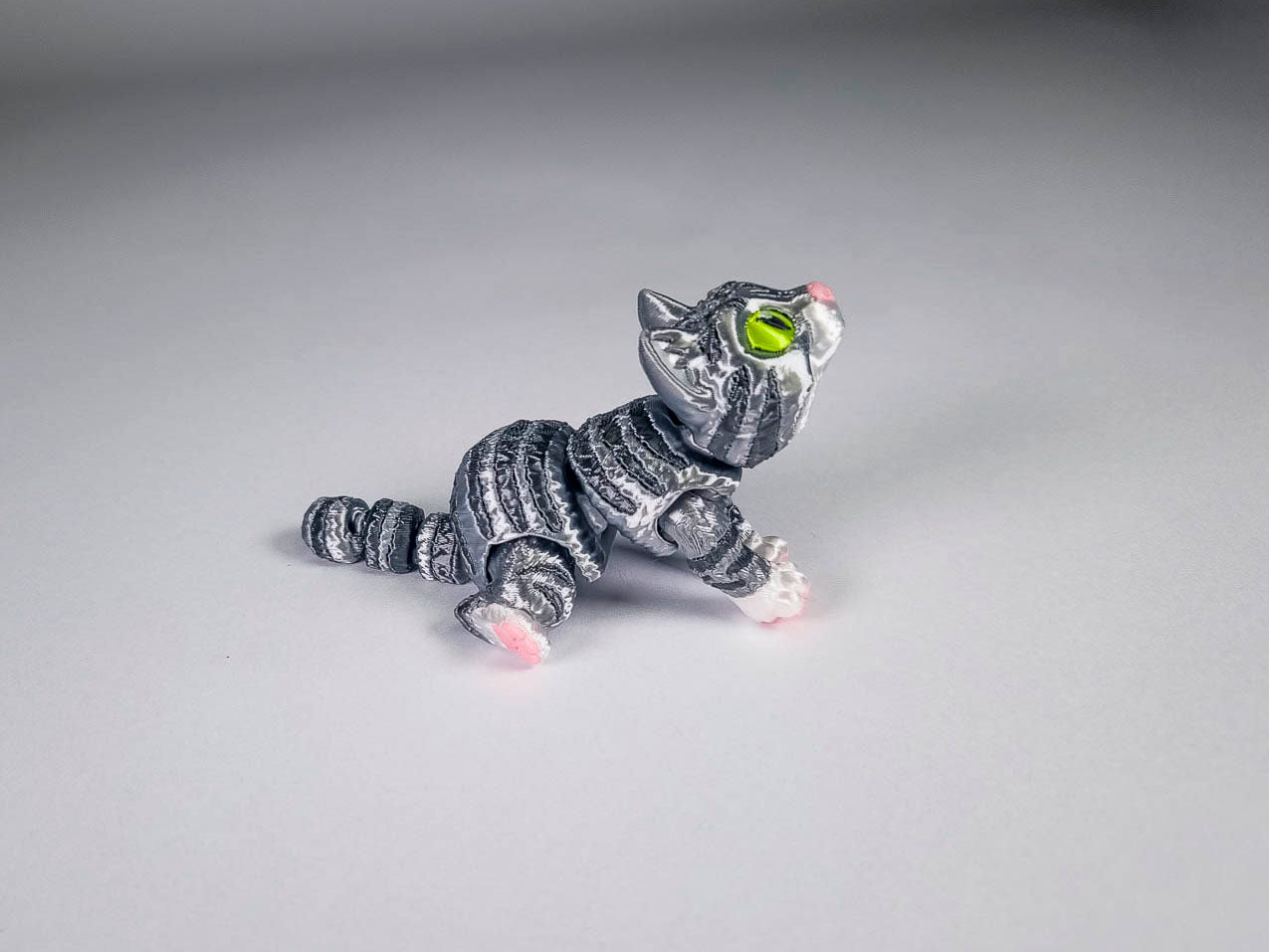 Grey Tabby Cat