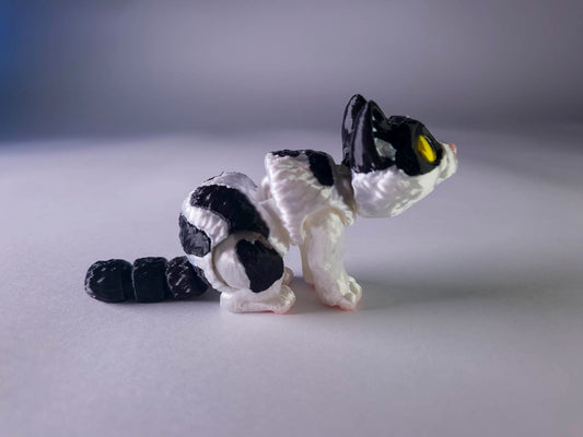 Piebald Cat (Black and White)