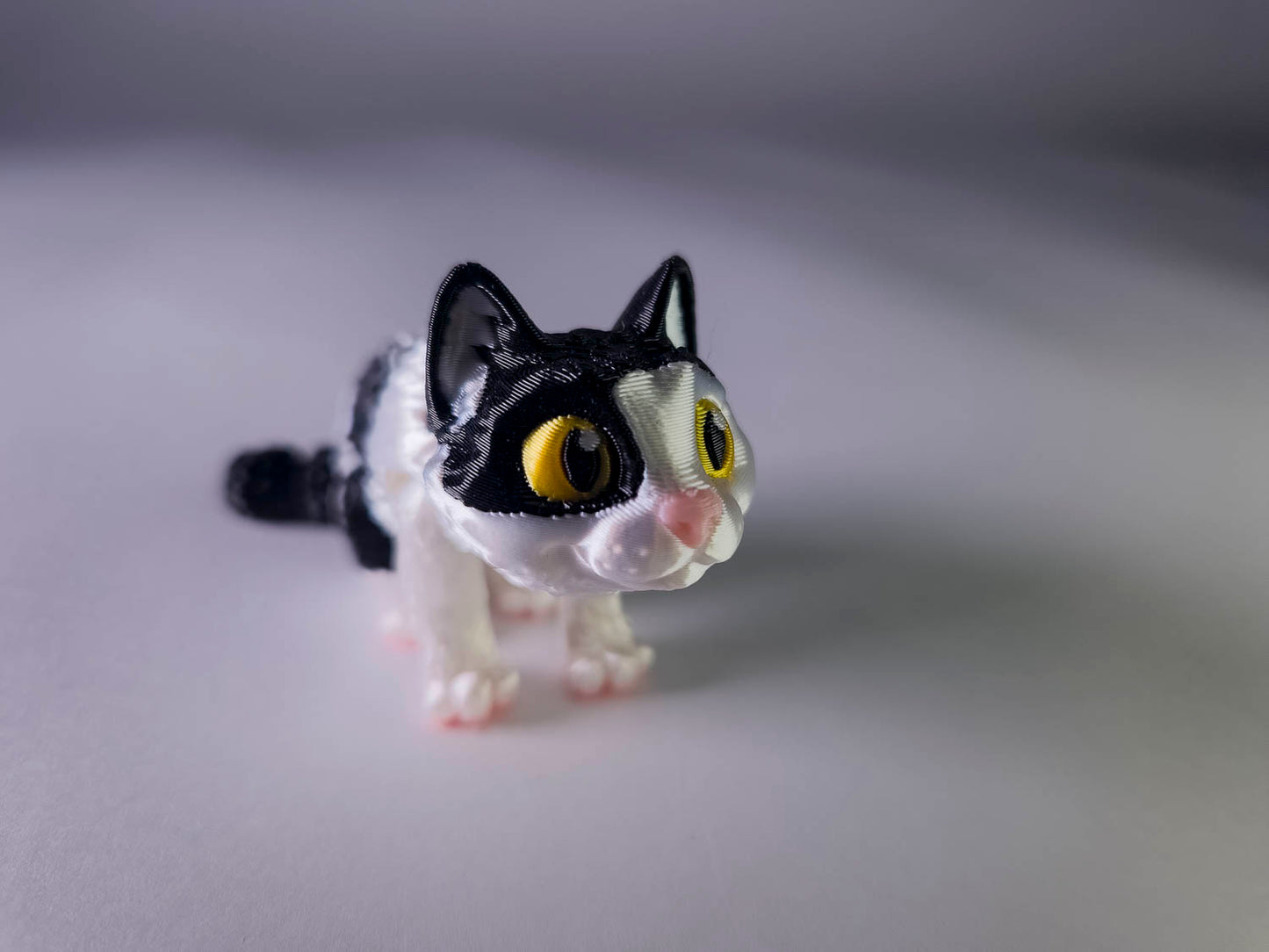 Piebald Cat (Black and White)