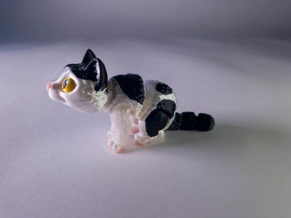 Piebald Cat (Black and White)