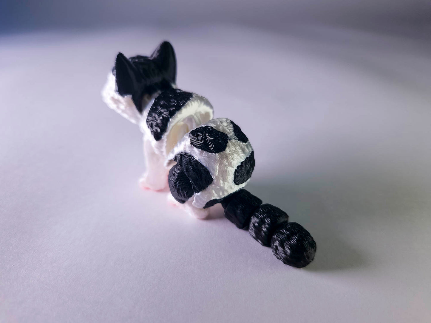 Piebald Cat (Black and White)