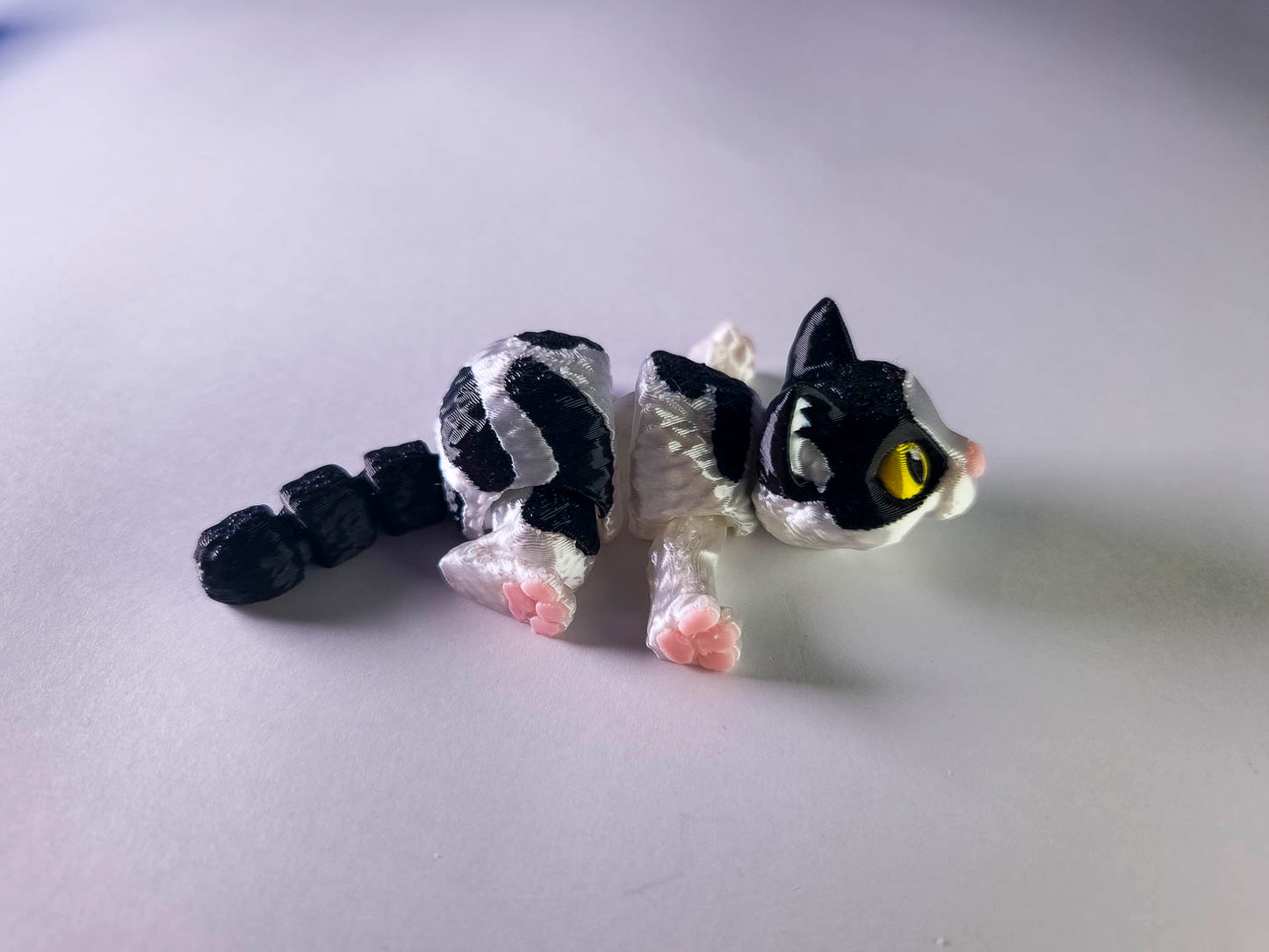 Piebald Cat (Black and White)