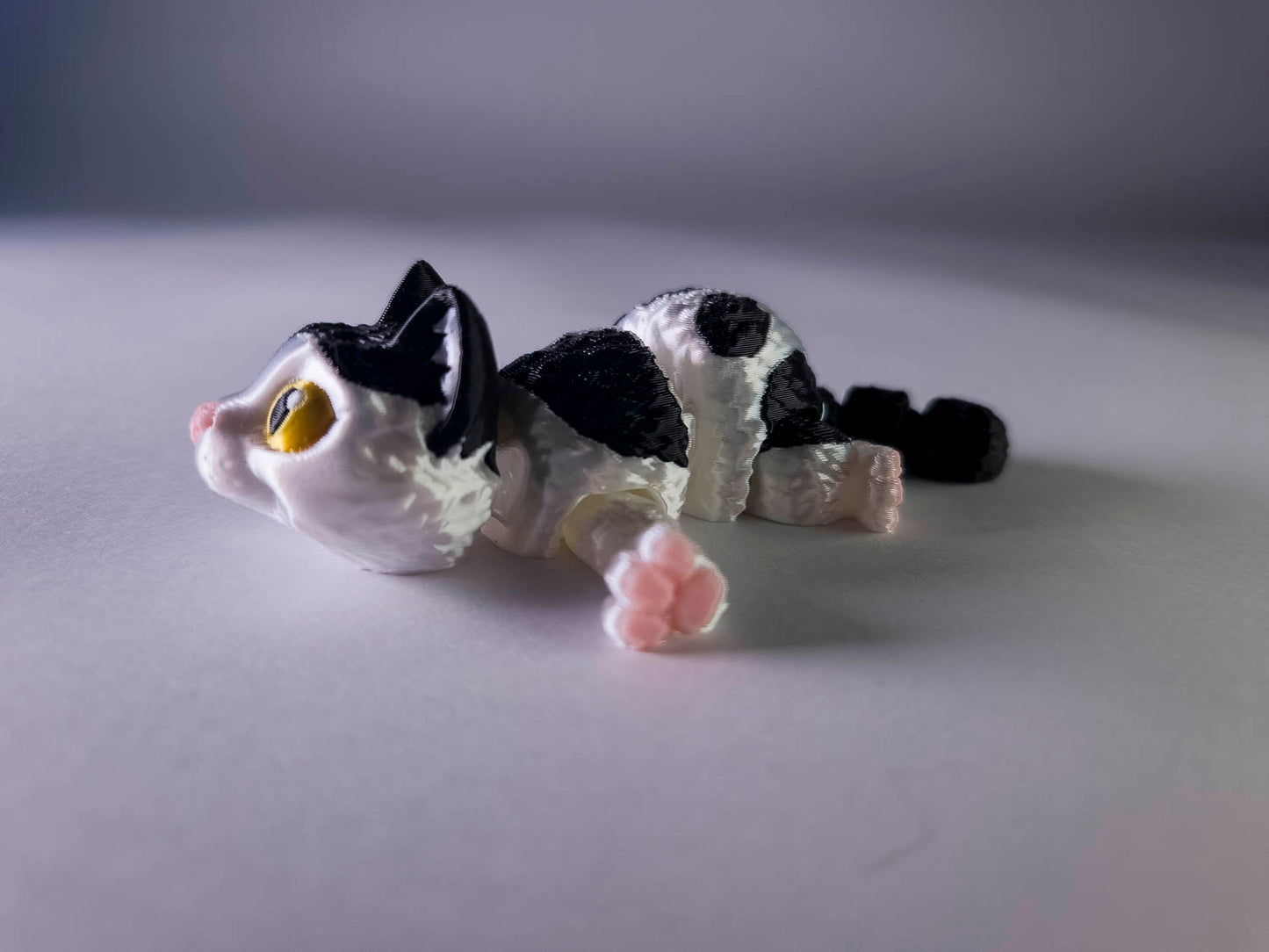 Piebald Cat (Black and White)