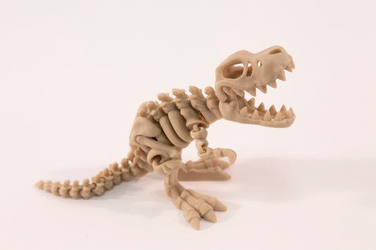 Flexi T-Rex Skeleton